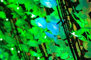 なばなの里、イルミネーション、12月冬、三重県桑名市の観光・撮影スポットの画像と写真