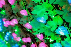 なばなの里、イルミネーション、12月冬、三重県桑名市の観光・撮影スポットの画像と写真