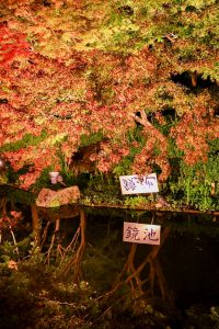 なばなの里、紅葉・鏡池、12月冬、三重県桑名市の観光・撮影スポットの画像と写真