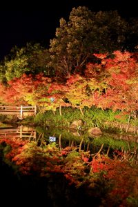 なばなの里、紅葉・鏡池、12月冬、三重県桑名市の観光・撮影スポットの画像と写真