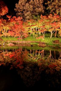 なばなの里、紅葉・鏡池、12月冬、三重県桑名市の観光・撮影スポットの画像と写真