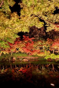 なばなの里、紅葉・鏡池、12月冬、三重県桑名市の観光・撮影スポットの画像と写真