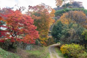 苗木城跡、紅葉。11月秋、岐阜県中津川市市の観光・撮影スポットの名所