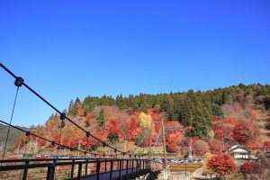 大井平公園、紅葉、秋、11月、愛知県豊田市の観光・撮影スポットの画像と写真
