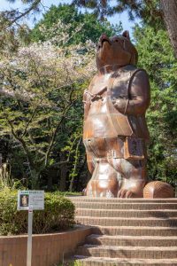 大山緑地、大だぬき、3月春の花、愛知県高浜市の観光・撮影スポットの名所