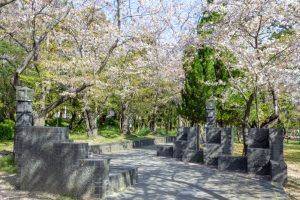大山緑地、桜、3月春の花、愛知県高浜市の観光・撮影スポットの名所