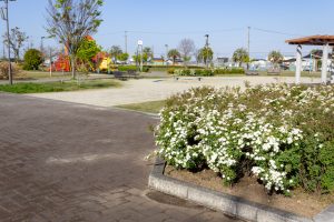 パークアリーナ小牧、つつじ、4月春の花、愛知県小牧市の観光・撮影スポットの名所