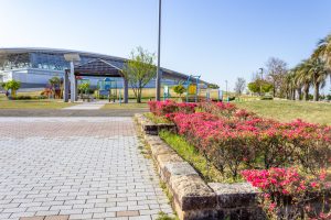 パークアリーナ小牧、つつじ、4月春の花、愛知県小牧市の観光・撮影スポットの名所
