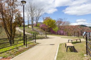 恵那峡さざなみ公園、つつじ、4月春の花、岐阜県恵那市の観光・撮影スポットの名所