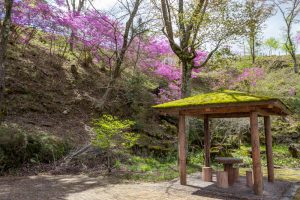 恵那峡さざなみ公園、つつじ、4月春の花、岐阜県恵那市の観光・撮影スポットの名所