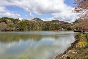 恵那峡さざなみ公園、つつじ、4月春の花、岐阜県恵那市の観光・撮影スポットの名所