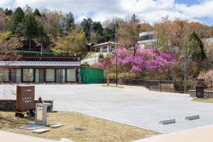 恵那峡さざなみ公園、つつじ、4月春の花、岐阜県恵那市の観光・撮影スポットの名所