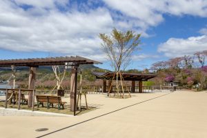 恵那峡さざなみ公園、つつじ、4月春の花、岐阜県恵那市の観光・撮影スポットの名所