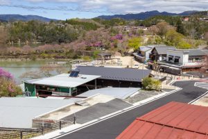 恵那峡さざなみ公園、つつじ、4月春の花、岐阜県恵那市の観光・撮影スポットの名所