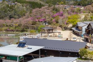 恵那峡さざなみ公園、つつじ、4月春の花、岐阜県恵那市の観光・撮影スポットの名所