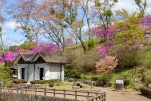 恵那峡さざなみ公園、つつじ、4月春の花、岐阜県恵那市の観光・撮影スポットの名所