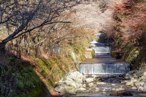 柿ヶ入り遊歩道、紅葉、11月秋、愛知県豊田市の観光・撮影スポットの画像と写真、愛知県豊田市の観光・撮影スポットの画像と写真