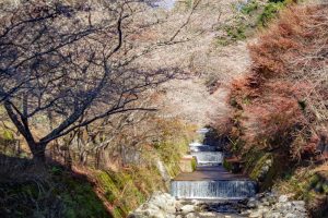 柿ヶ入り遊歩道、紅葉、11月秋、愛知県豊田市の観光・撮影スポットの画像と写真