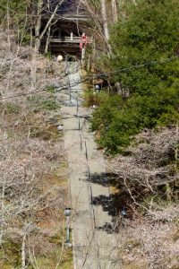 川見四季桜の里、紅葉、11月秋、愛知県豊田市の観光・撮影スポットの画像と写真