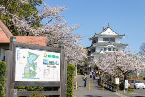 尾張旭城山公園、桜、3月春の花、愛知県尾張旭市の観光・撮影スポットの名所