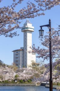 尾張旭城山公園、桜、3月春の花、愛知県尾張旭市の観光・撮影スポットの名所