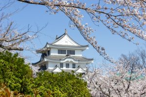 尾張旭城山公園、桜、3月春の花、愛知県尾張旭市の観光・撮影スポットの名所