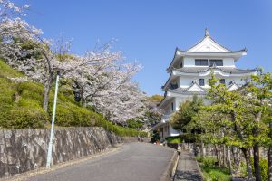 尾張旭城山公園、桜、3月春の花、愛知県尾張旭市の観光・撮影スポットの名所