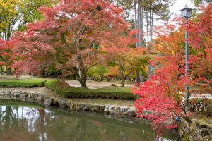 曽木公園、紅葉、11月秋、岐阜県土岐市の観光・撮影スポットの画