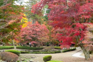 曽木公園、紅葉、11月秋、岐阜県土岐市の観光・撮影スポットの画