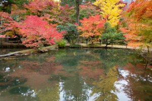 曽木公園、紅葉、11月秋、岐阜県土岐市の観光・撮影スポットの画