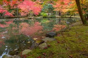 曽木公園、紅葉、11月秋、岐阜県土岐市の観光・撮影スポットの画
