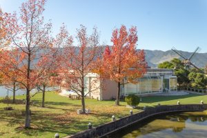 アクアワールド水郷パークセンター、紅葉、11月秋、岐阜県海津市の観光・撮影スポットの画像と写真