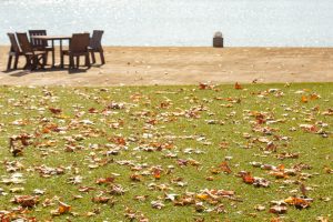 アクアワールド水郷パークセンター、紅葉、11月秋、岐阜県海津市の観光・撮影スポットの画像と写真