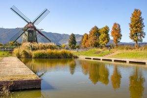 アクアワールド水郷パークセンター、紅葉、11月秋、岐阜県海津市の観光・撮影スポットの画像と写真