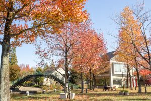 アクアワールド水郷パークセンター、紅葉、11月秋、岐阜県海津市の観光・撮影スポットの画像と写真