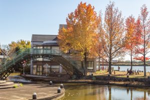 アクアワールド水郷パークセンター、紅葉、11月秋、岐阜県海津市の観光・撮影スポットの画像と写真