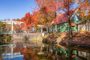 アクアワールド水郷パークセンター、紅葉、11月秋、岐阜県海津市の観光・撮影スポットの画像と写真