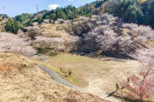 小原稲荷・松月寺、四季桜、11月秋、愛知県豊田市の観光・撮影スポットの画像と写真