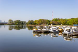庄内緑地公園、4月春の花、名古屋市西区の観光・撮影スポットの画像と写真