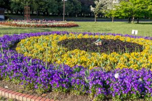 庄内緑地公園、4月春の花、名古屋市西区の観光・撮影スポットの画像と写真