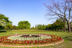 庄内緑地公園、4月春の花、名古屋市西区の観光・撮影スポットの画像と写真