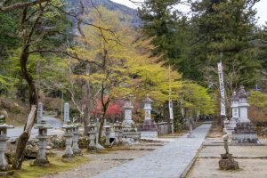 谷汲山華厳寺、4月春の花、岐阜県揖斐郡の観光・撮影スポットの名所