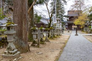 谷汲山華厳寺、4月春の花、岐阜県揖斐郡の観光・撮影スポットの名所