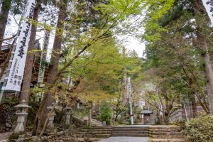 谷汲山華厳寺、4月春の花、岐阜県揖斐郡の観光・撮影スポットの名所