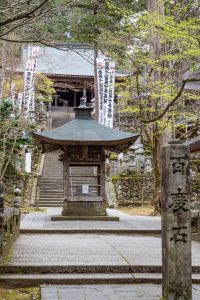 谷汲山華厳寺、4月春の花、岐阜県揖斐郡の観光・撮影スポットの名所