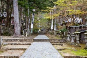 谷汲山華厳寺、4月春の花、岐阜県揖斐郡の観光・撮影スポットの名所