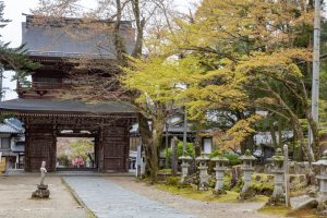 谷汲山華厳寺、4月春の花、岐阜県揖斐郡の観光・撮影スポットの名所