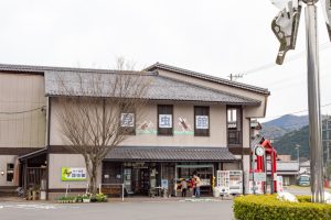 谷汲山華厳寺参道、昆虫館、4月春の花、岐阜県揖斐郡の観光・撮影スポットの名所
