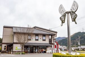 谷汲山華厳寺参道、昆虫館、4月春の花、岐阜県揖斐郡の観光・撮影スポットの名所