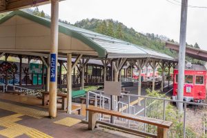 谷汲山華厳寺参道、谷汲駅、4月春の花、岐阜県揖斐郡の観光・撮影スポットの名所
